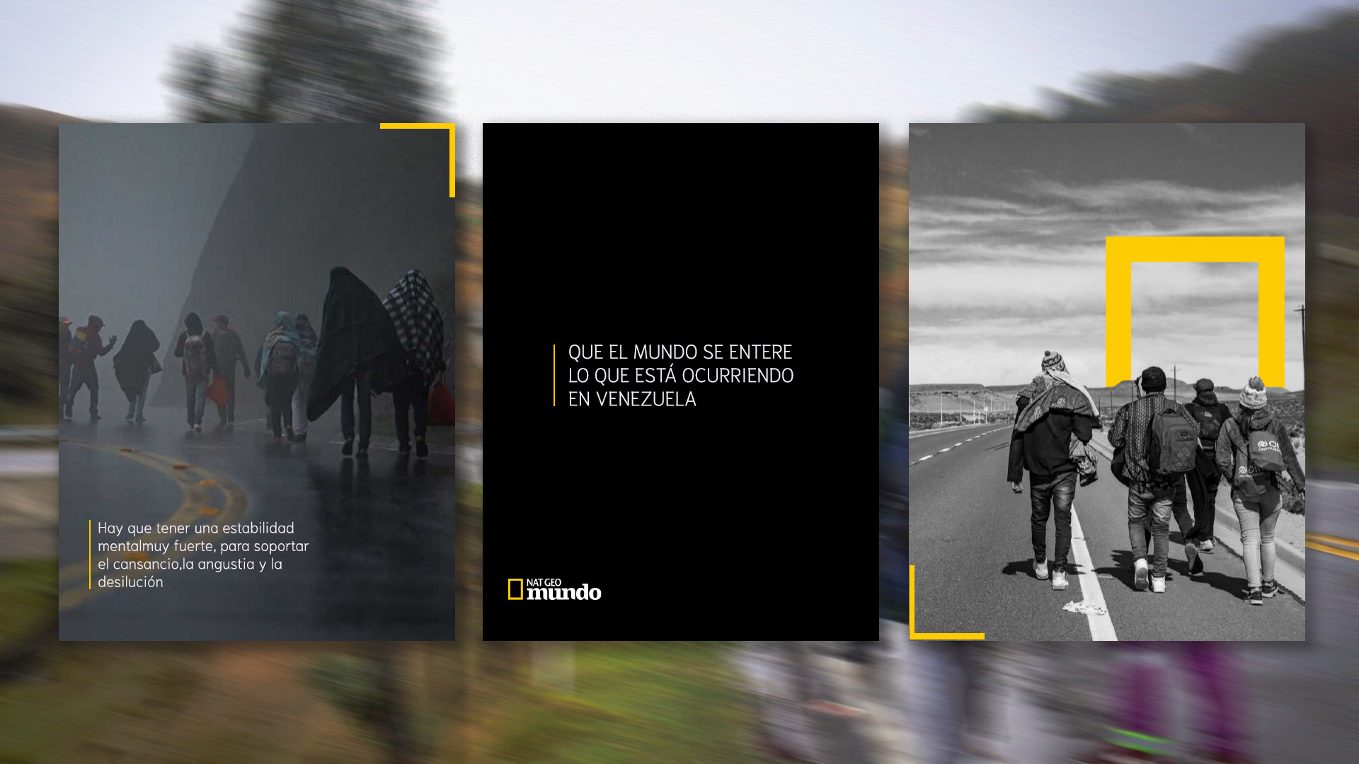 Los Caminantes — wide 1