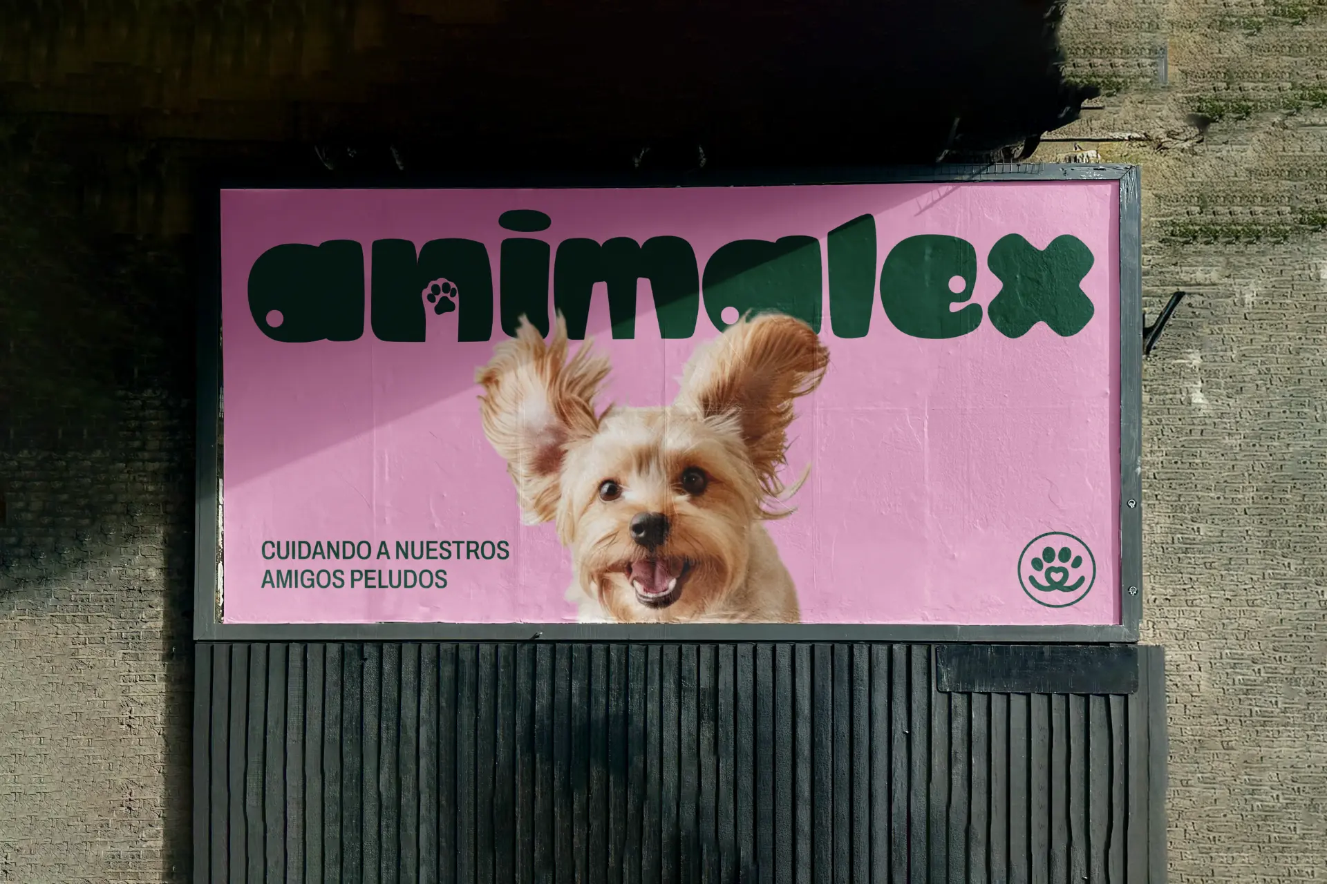 Animalex — Brand identity for a pet store